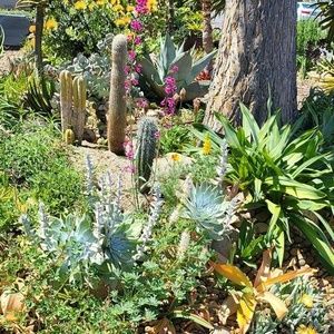 Meet your Posher, Jaime